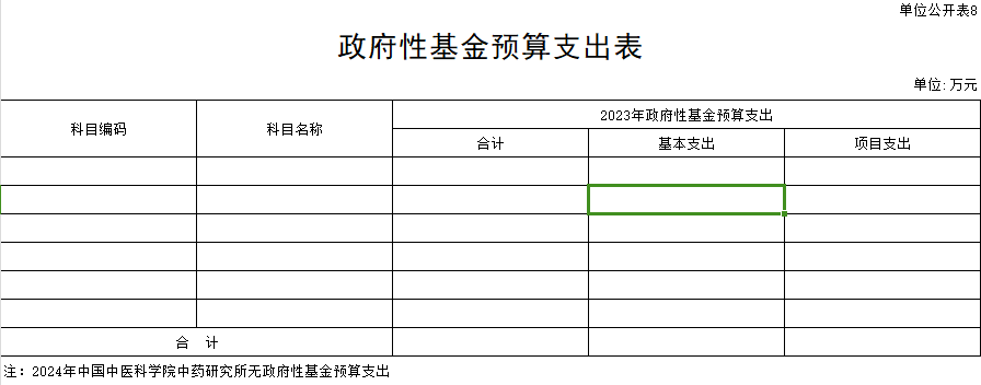 政府性基金预算支出表