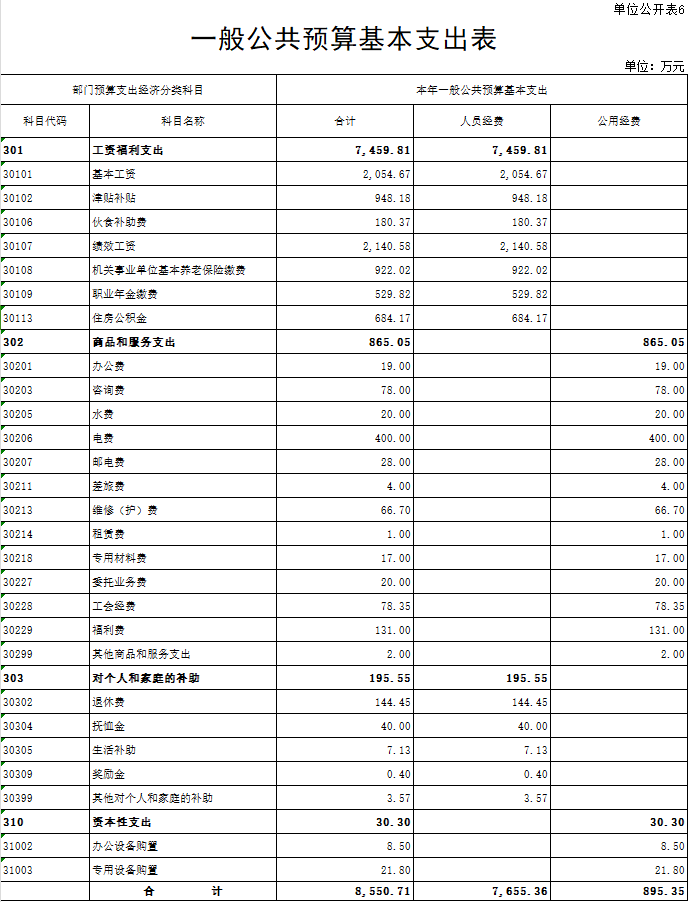 一般公共预算基本支出表