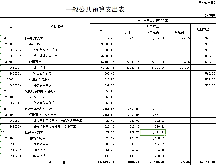 一般公共预算支出表