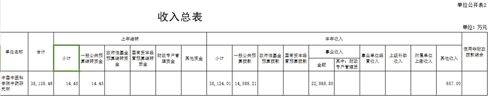 收入总表